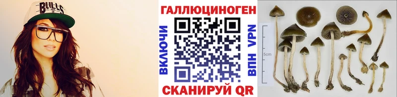 Псилоцибиновые грибы Psilocybine cubensis  мега ССЫЛКА  Петровск 